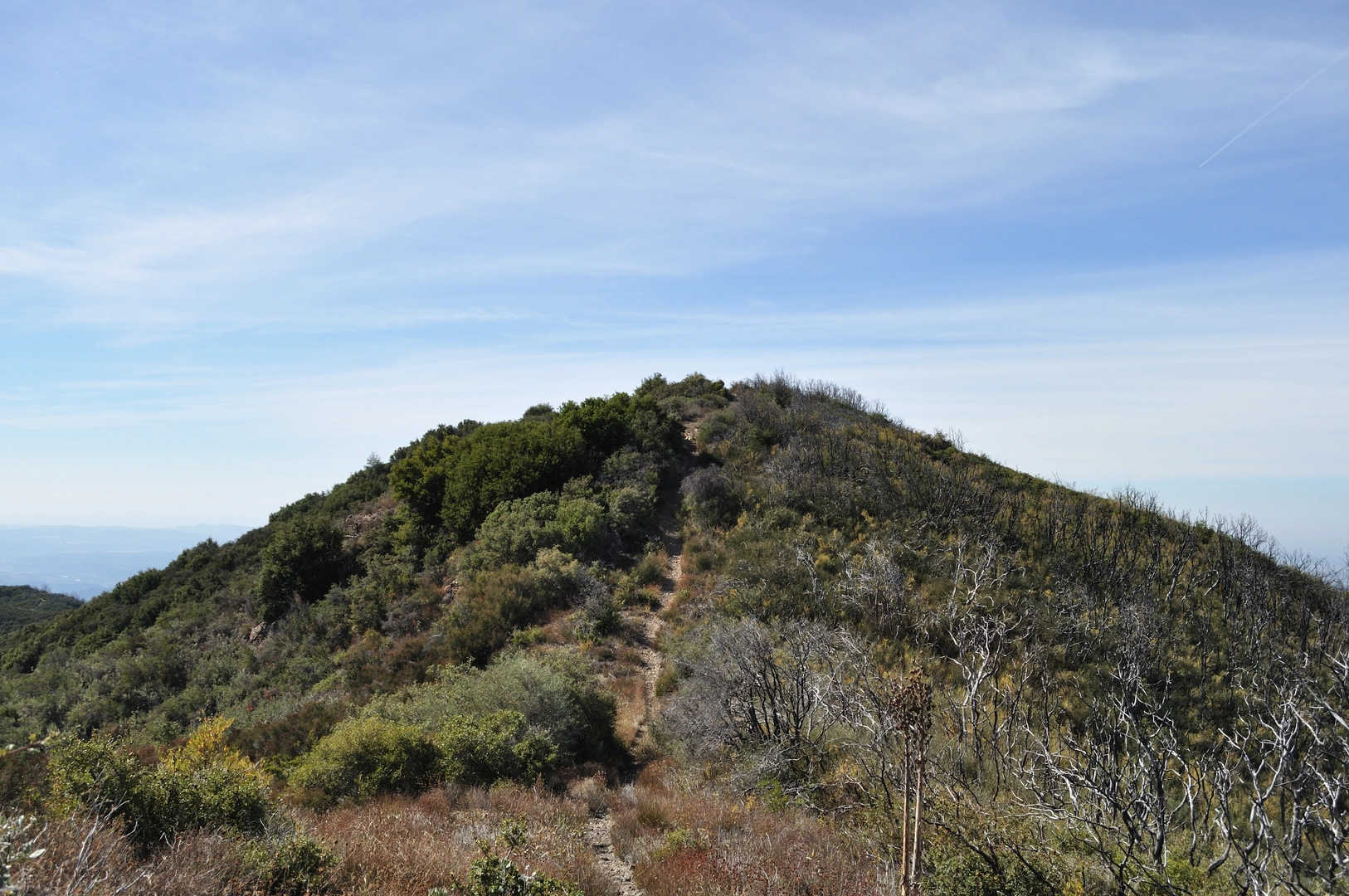 An image depicting the trail Los Pinos Peak via Los Pinos Trail and its surrounding area.