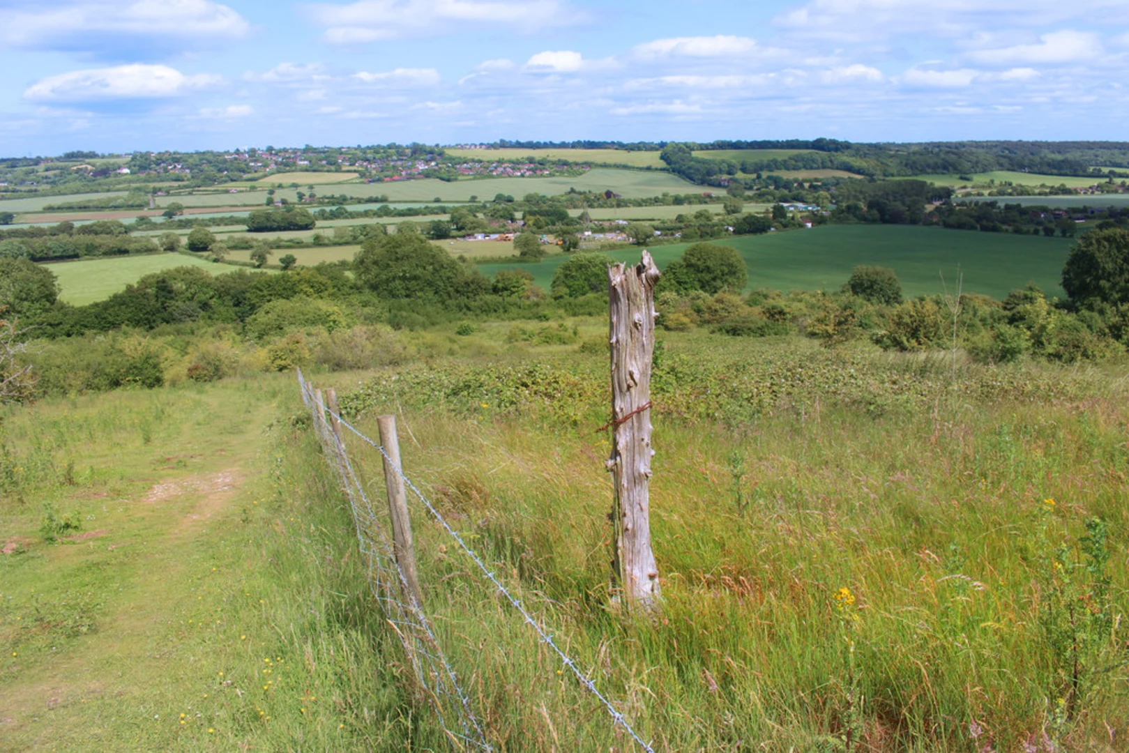 An image depicting the trail Sunderton Loop and its surrounding area.