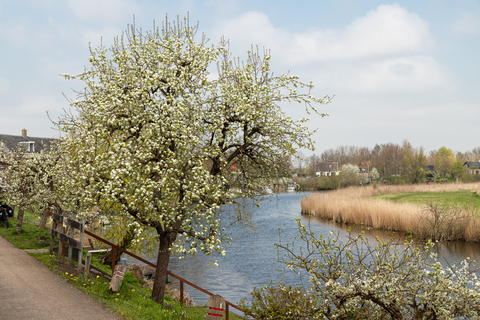 Heersdijkbrug and Lingedijk Loop