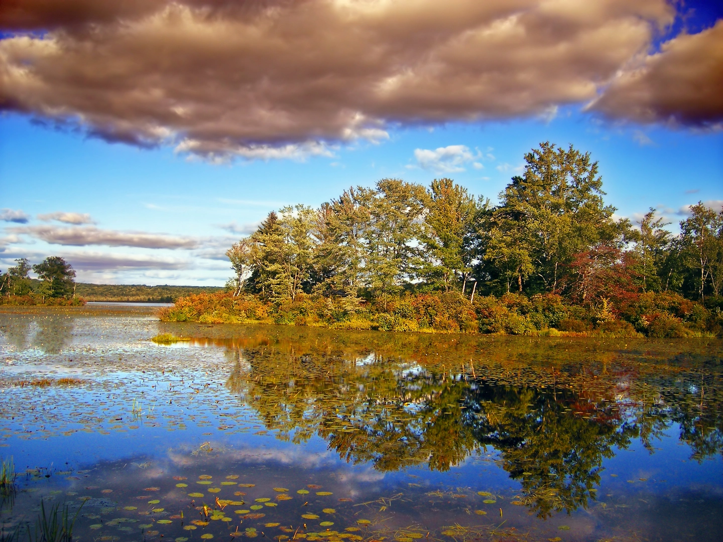 An image depicting the trail Pecks Pond and its surrounding area.