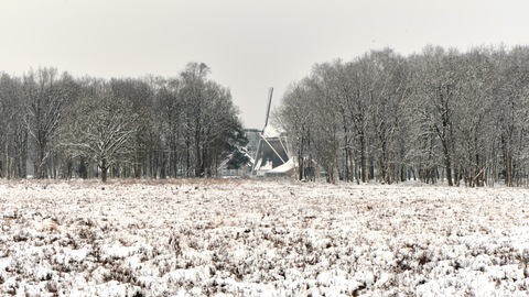 De Maarsch and Gasterse Duinen Loop