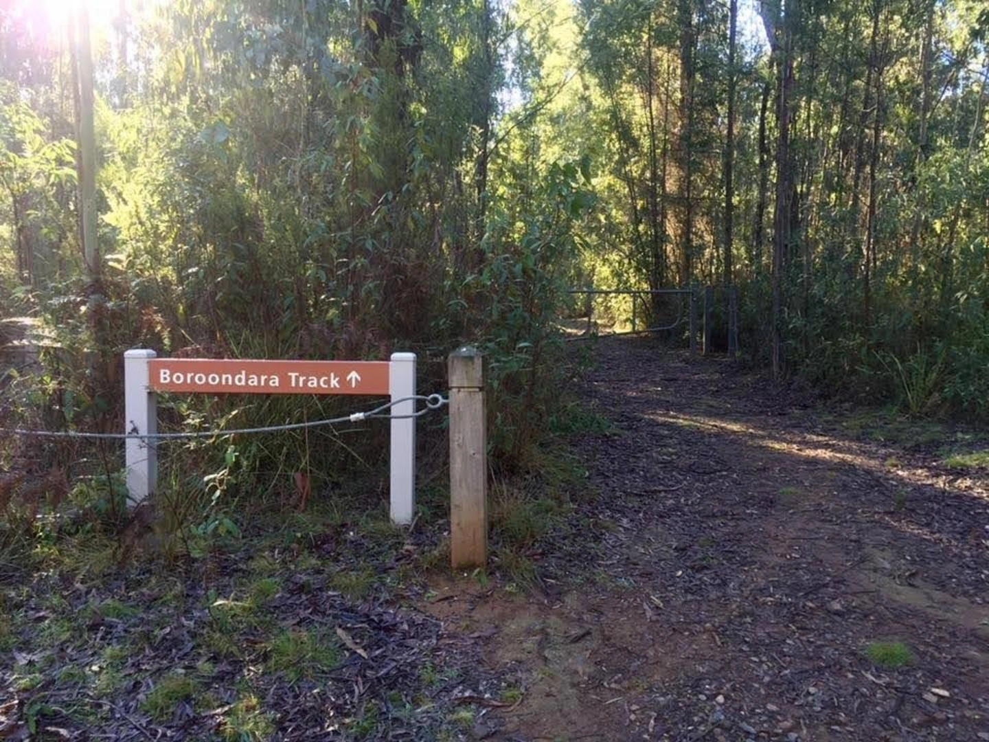 An image depicting the trail Boroondara Track and its surrounding area.