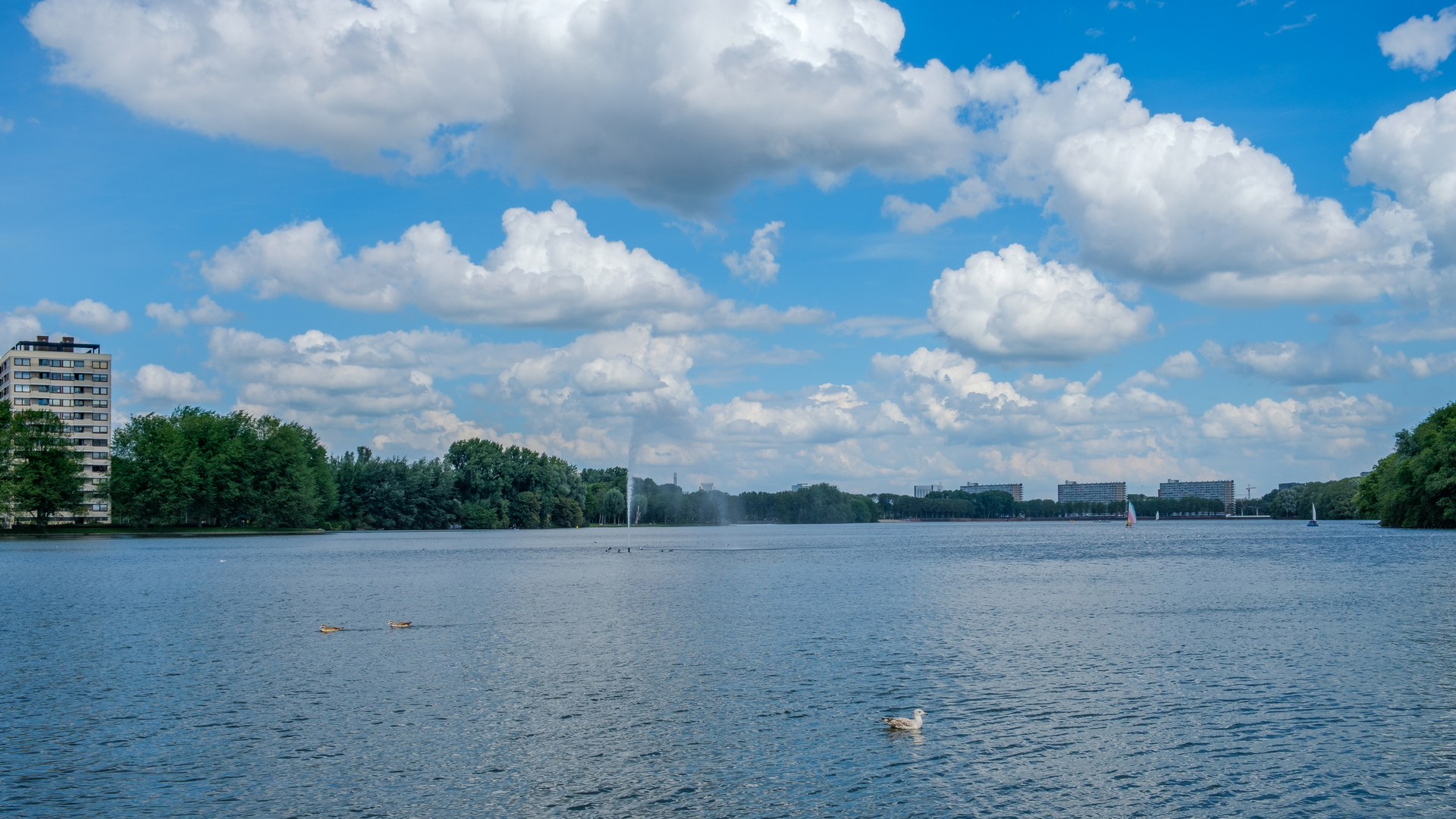 An image depicting the trail Sloterplas and Sloterpark Loop and its surrounding area.