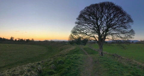 Giant's Ring, Lagan Meadows and Barnett Demense
