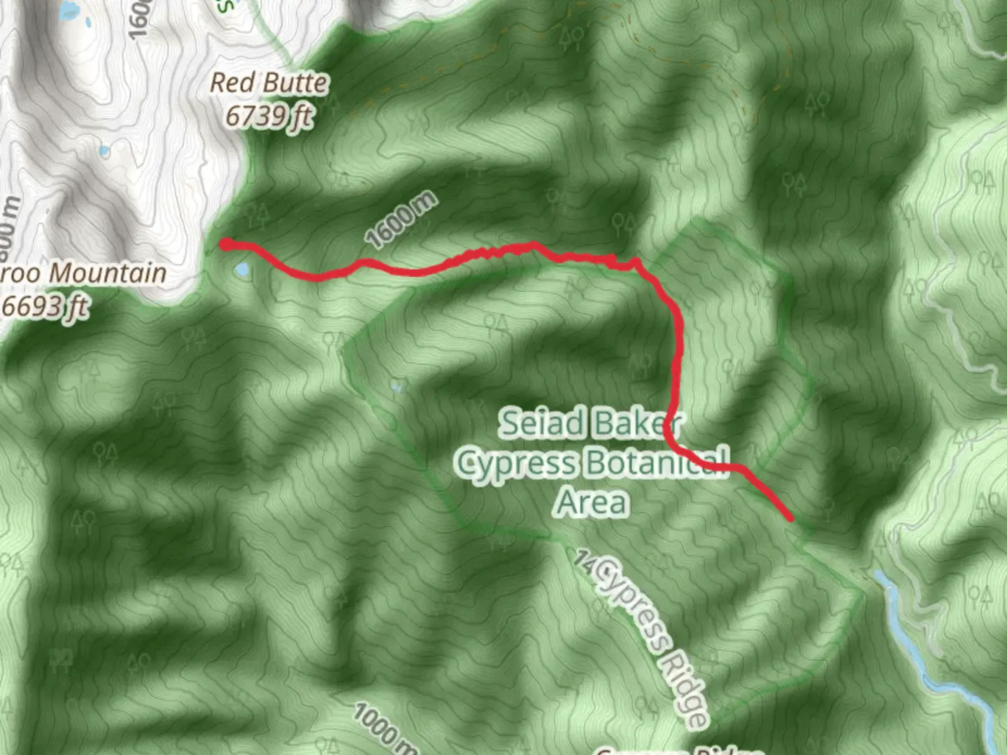 An image depicting the trail West Fork Seiad Creek Trail and its surrounding area.