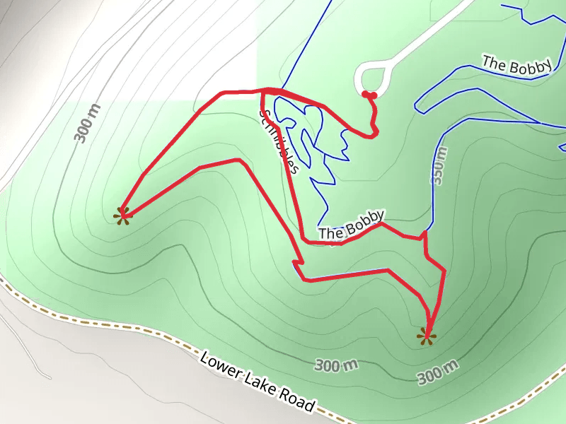 The Bobby Loop