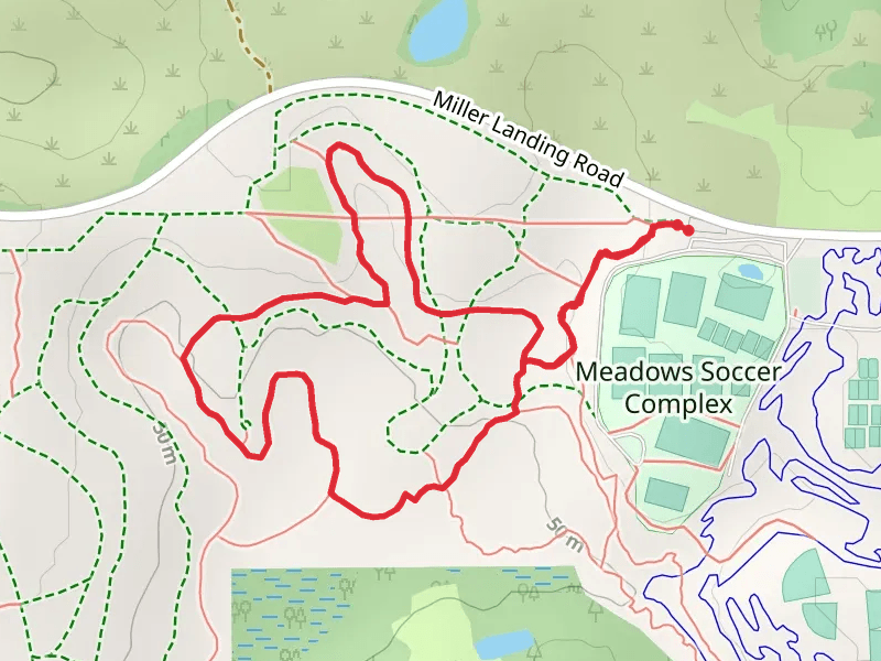 Swamp Forest Loop