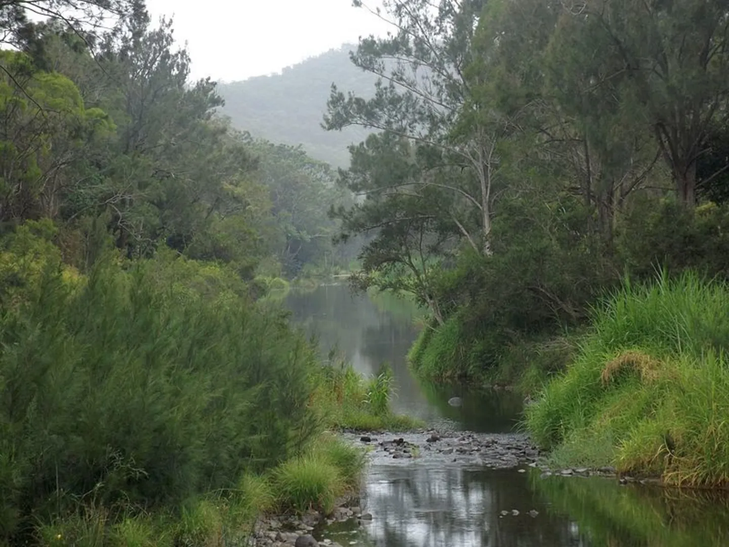 An image depicting the trail Coomera Circuit Track and its surrounding area.