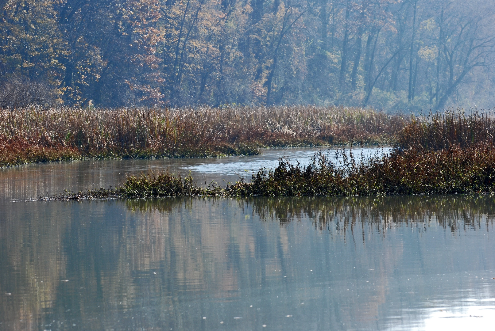 An image depicting the trail Wildwood Lake Loop Trail and its surrounding area.