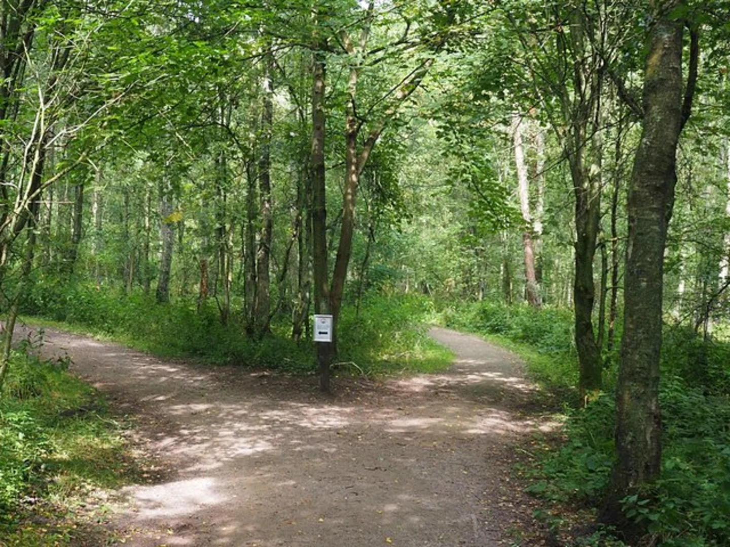 An image depicting the trail Cawthorn Roman Camps Walk and its surrounding area.