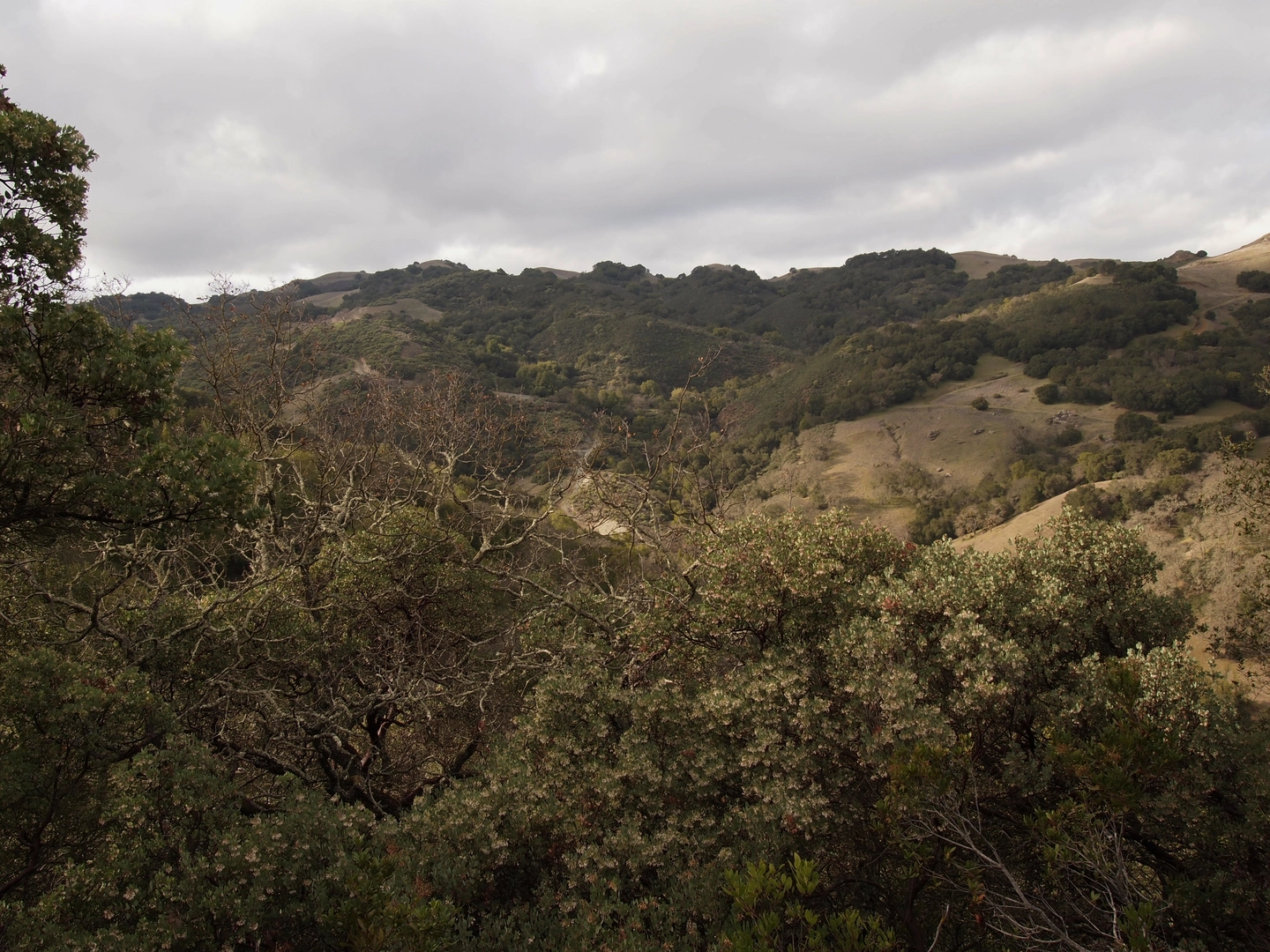 An image depicting the trail Llagas Canyon and Mayfair Ranch Loop Trail and its surrounding area.