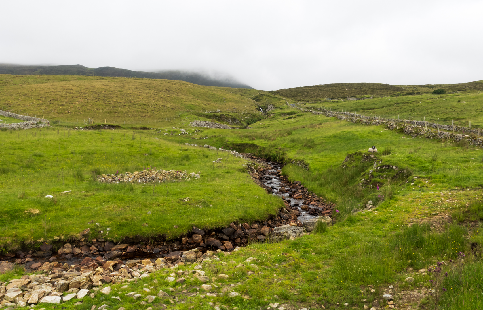 An image depicting the trail Pilgrims Road to Clonmacnoise and its surrounding area.
