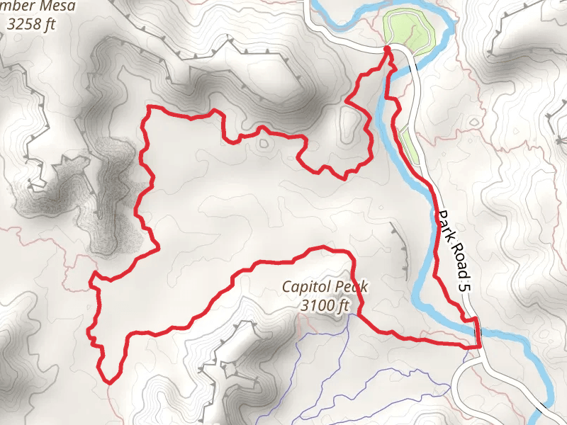 Givens, Spicer, Lowry, Lighthouse and Paseo del Rio Loop Trail