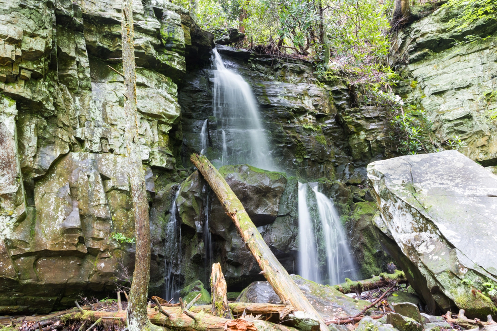 An image depicting the trail Baskin Creek Falls Trail and its surrounding area.