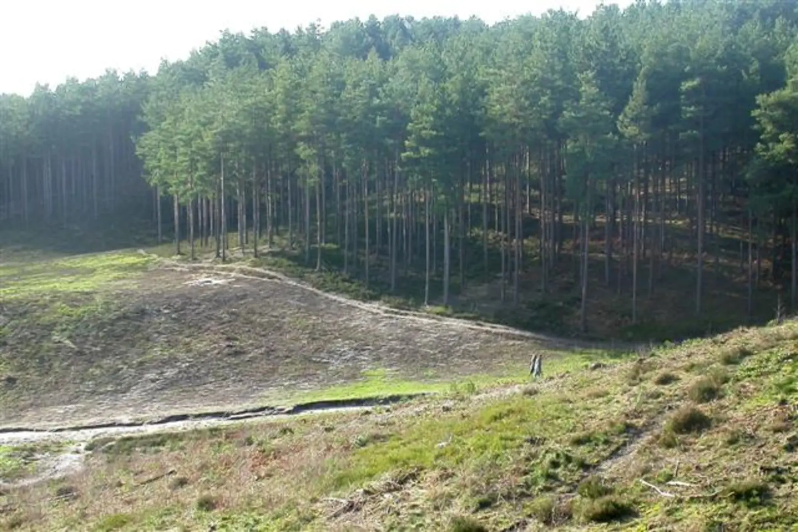 An image depicting the trail Wadesmill and Sacombe Green Loop and its surrounding area.