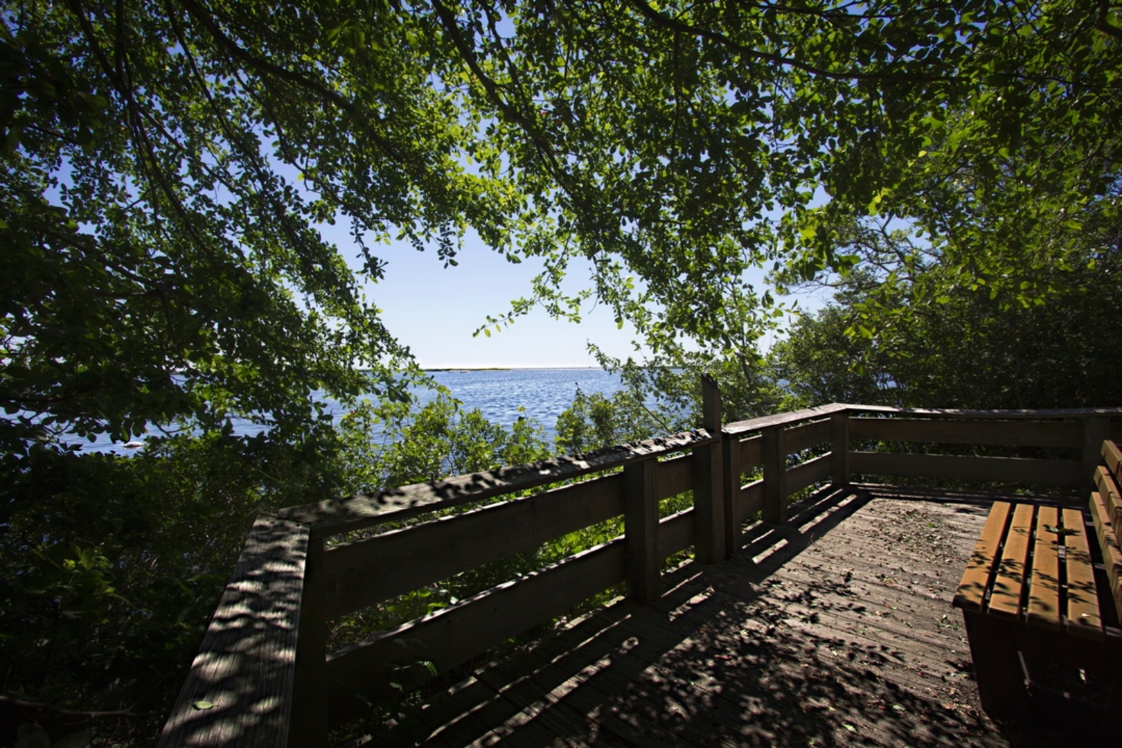 An image depicting the trail Trustom Pond Loop and its surrounding area.