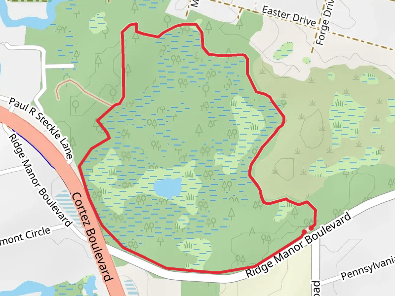 Cypress Lake Loop