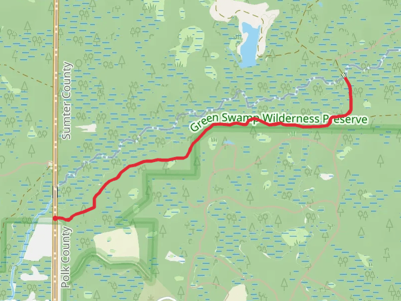 Withlacoochee River via Florida National Scenic Trail