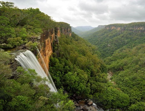 East Rim and Wildflower Track