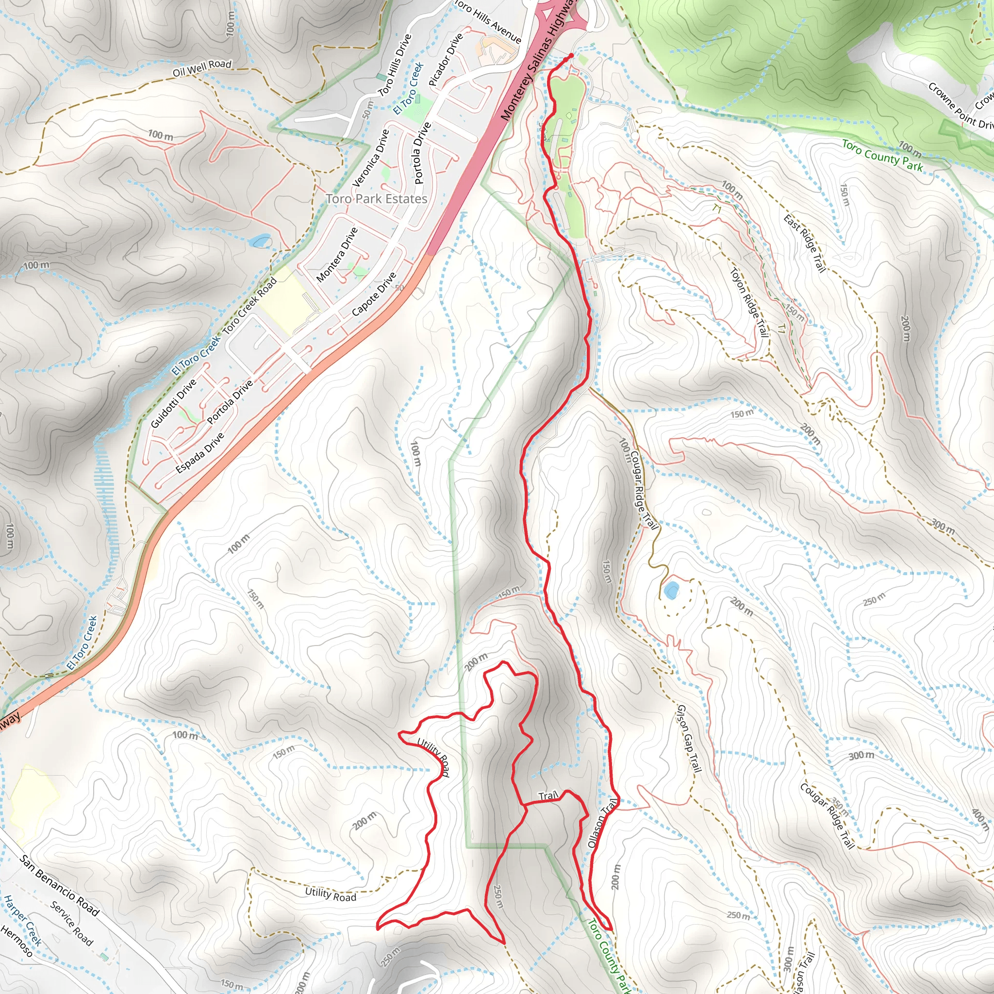 Ollason Trail Loop mobile static map