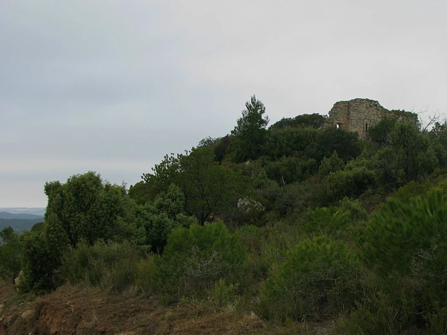 An image depicting the trail Path of Castellflorit del Boix PR C 137 and its surrounding area.