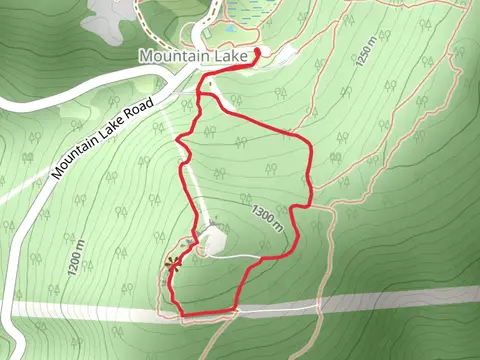 Bald Knob Loop Trail