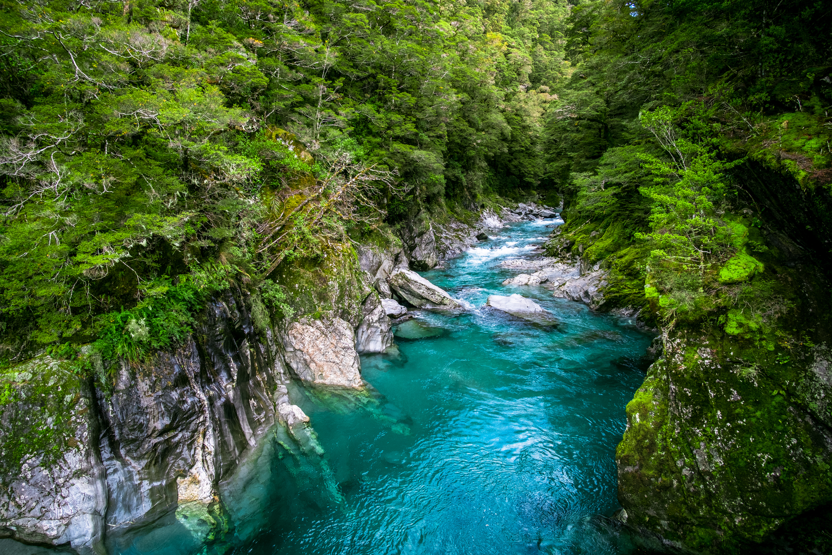 An image depicting the trail Blue Pools Track and its surrounding area.