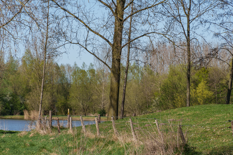 Kloosterbos, Slinge Plas and Bekendelle Loop