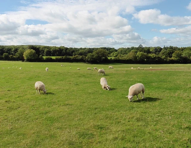 Bampton to Greenham Walk