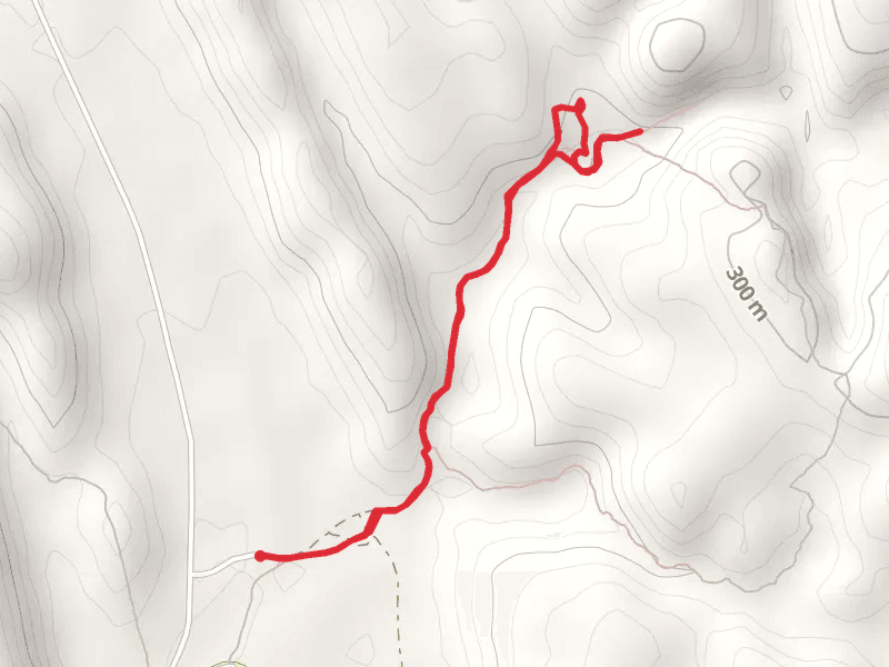 Homestead Gorge Track