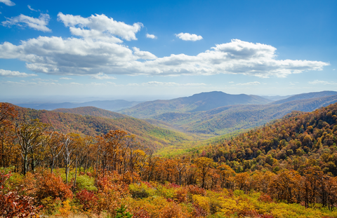 Stony Man Mountain and Little Stony Man Overlook Loop