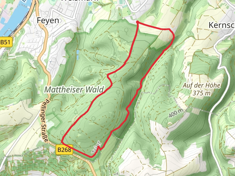 Mattheiser Wald Rundweg