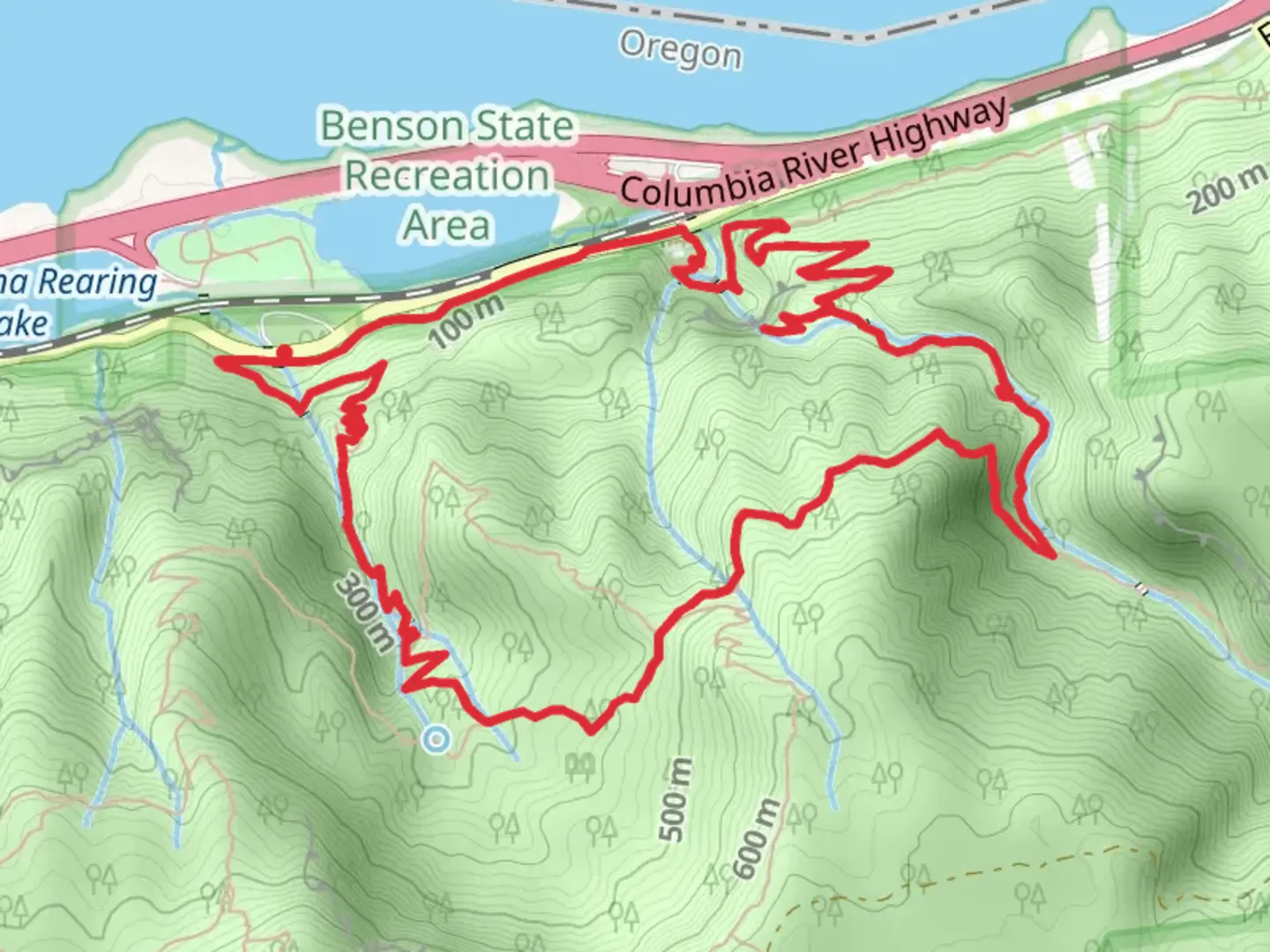 An image depicting the trail Wahkeena, Top of the Falls and Larch Mountain Loop Trail and its surrounding area.