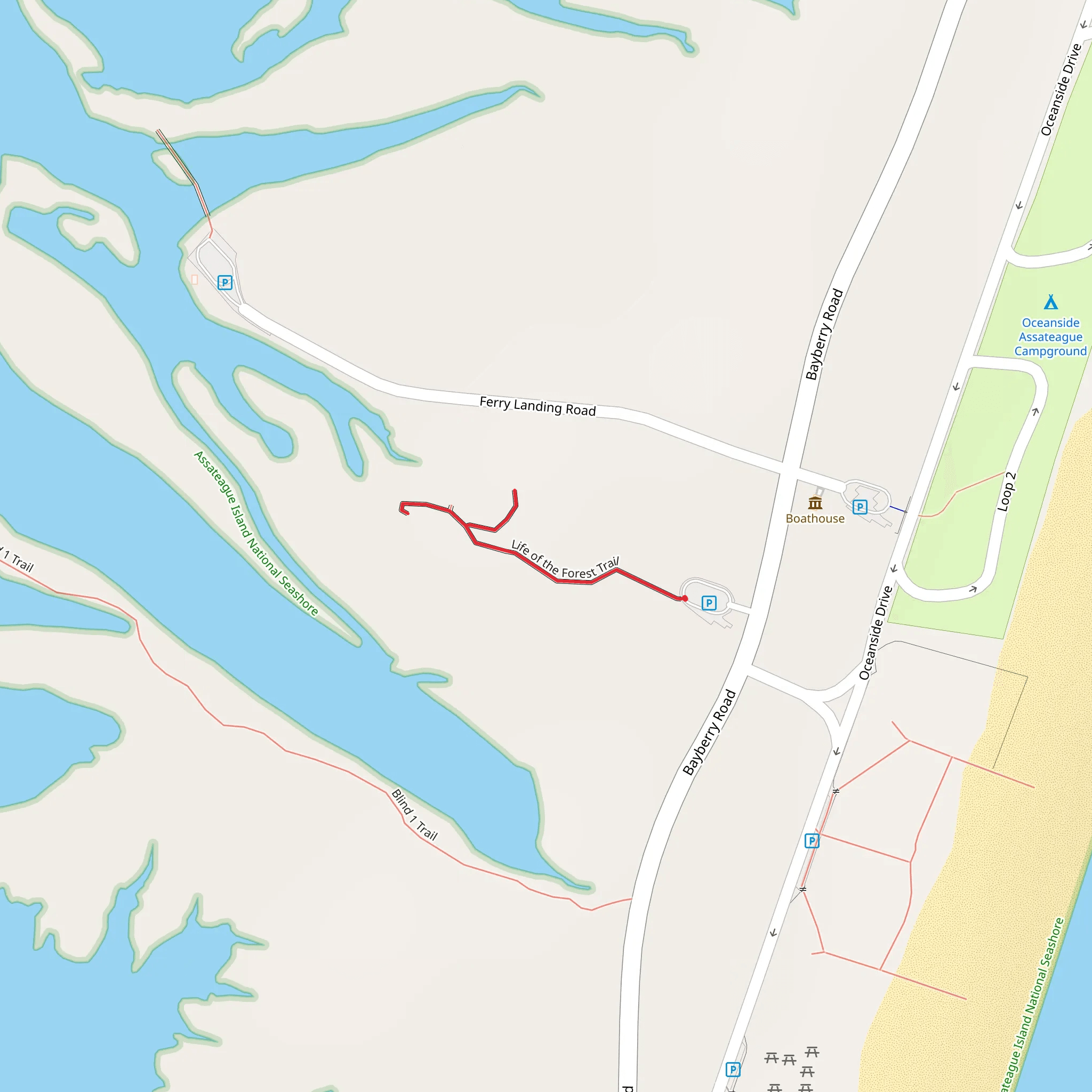 Life on the Forest Trail mobile static map