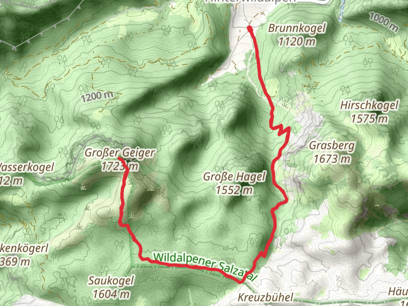 Hinterwildalpen to Geiger - Grosser Hike mobile static map