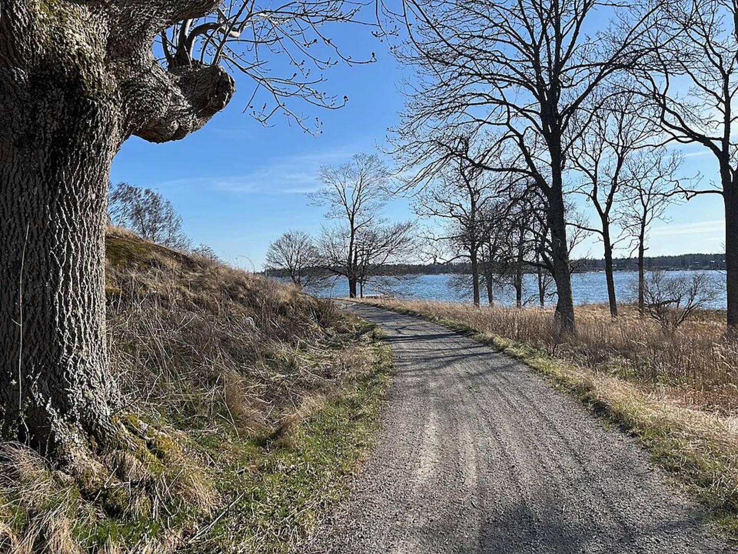An image depicting the trail Stockholm Archipelago Trail - Lidö and its surrounding area.