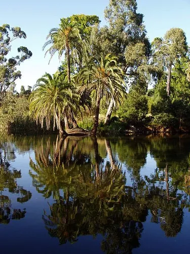 Royal Botanic Gardens Melbourne Walk