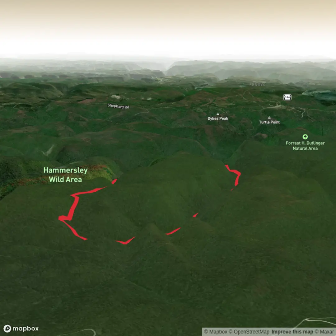 An image depicting the trail Nelson Hollow Trail and Cow Run Trail and its surrounding area.