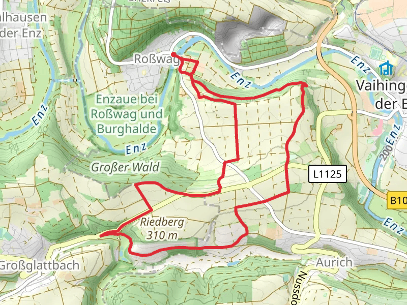 Riedberg Rundweg Loop