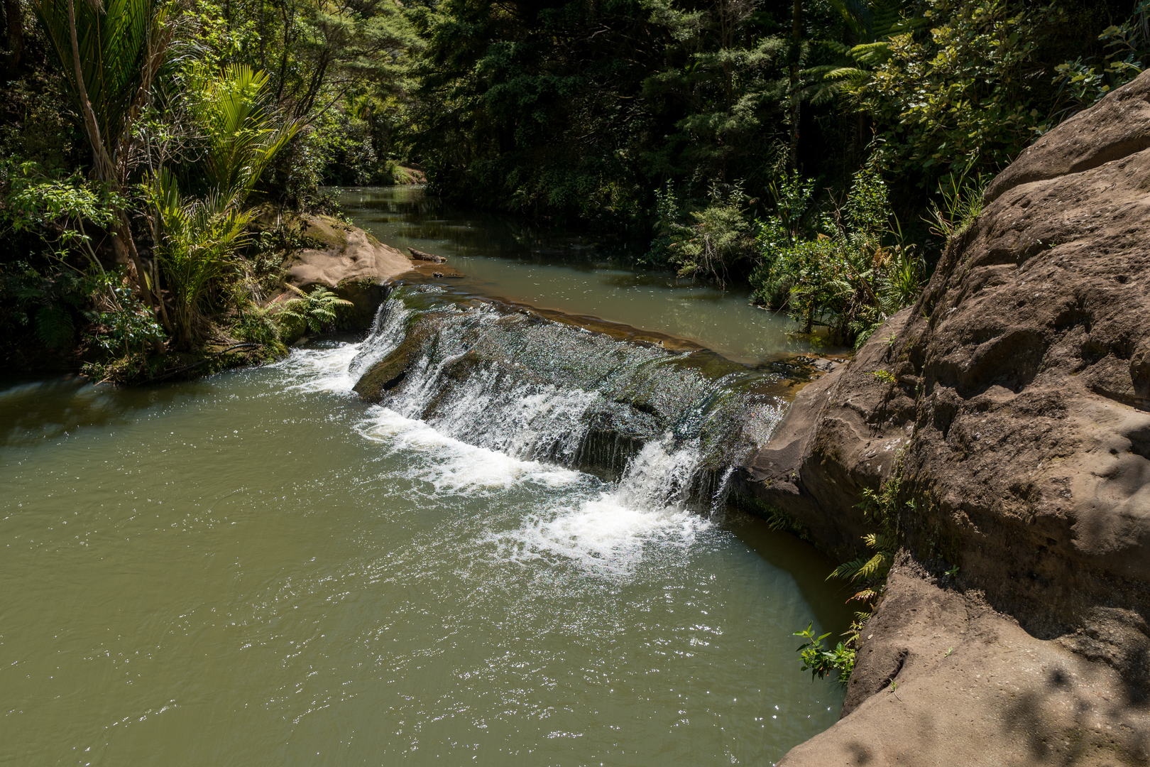 An image depicting the trail Mokoroa Stream Track and its surrounding area.