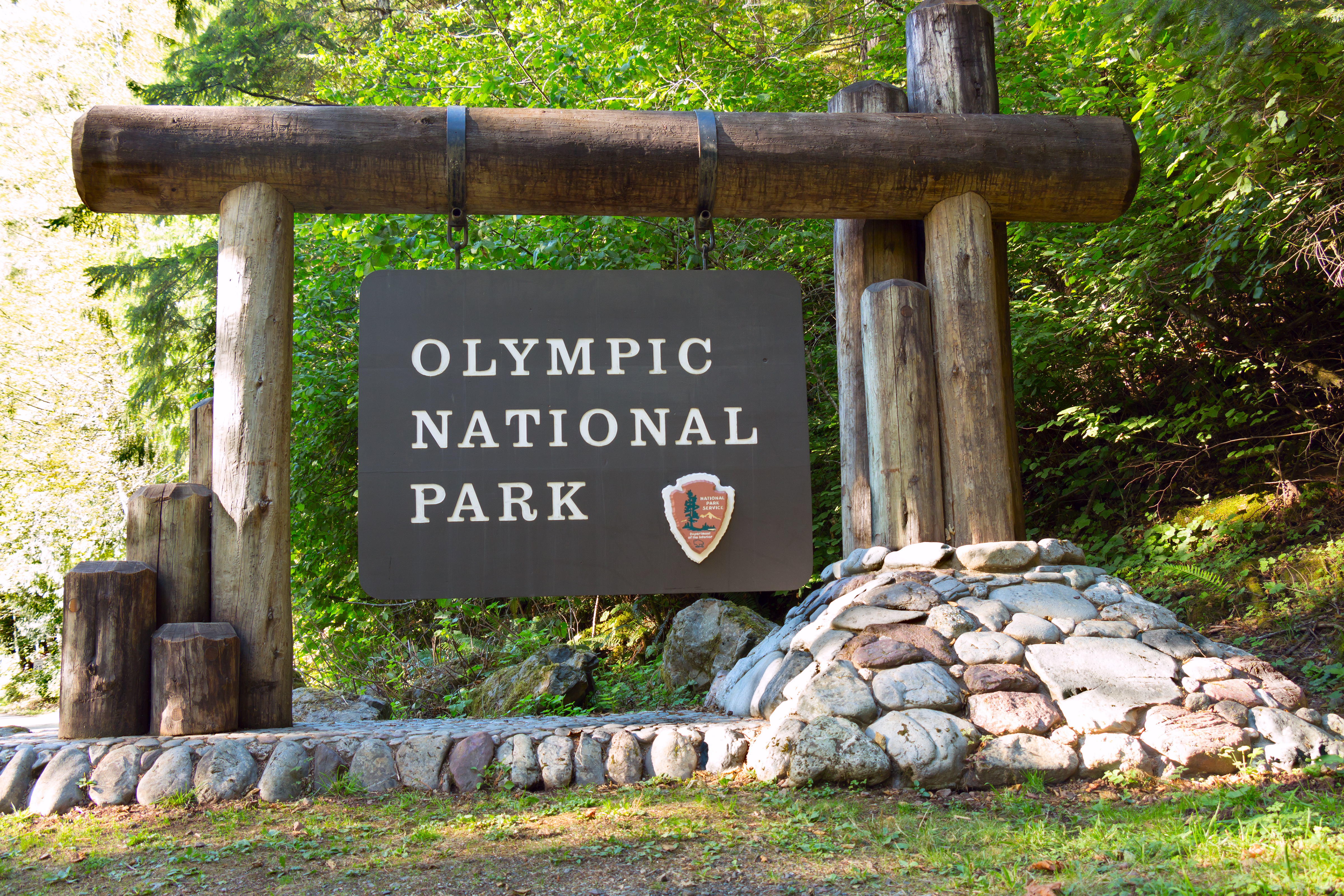 An image depicting the trail Olympic National Park and its surrounding area.