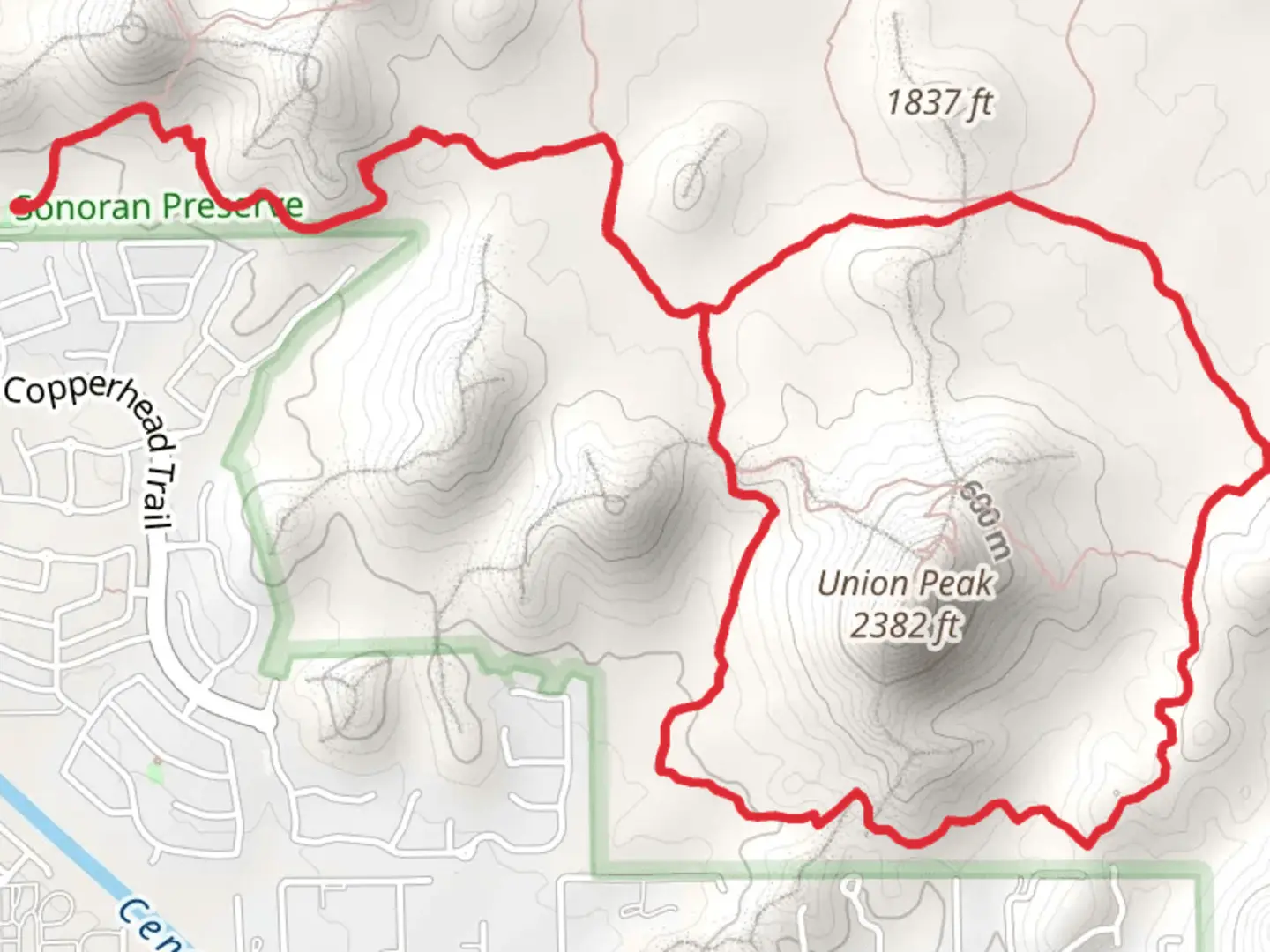 An image depicting the trail Cactus Wren and Great horned Owl Trail and its surrounding area.