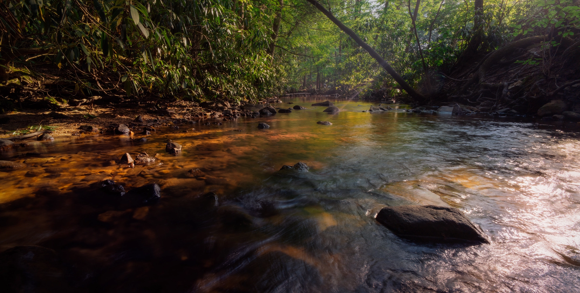 An image depicting the trail Quarry Run and Dark Hollow Run Loop and its surrounding area.