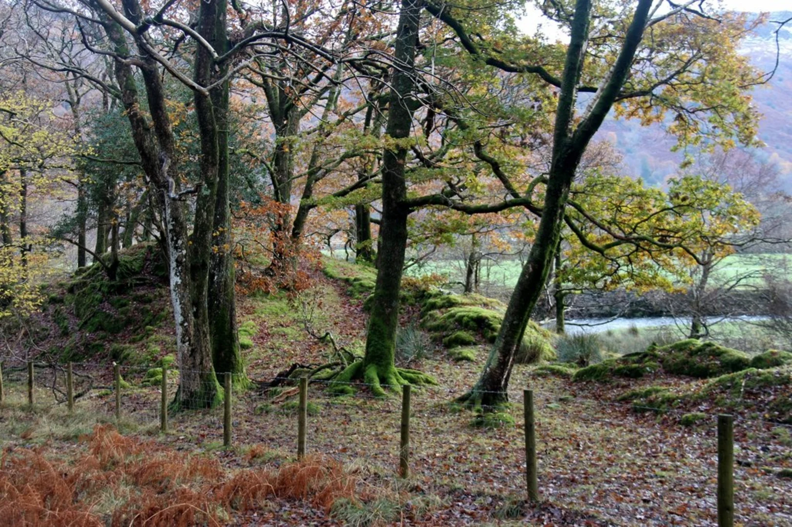An image depicting the trail High Hows Wood, High Spy and Johnny's Wood Loop and its surrounding area.