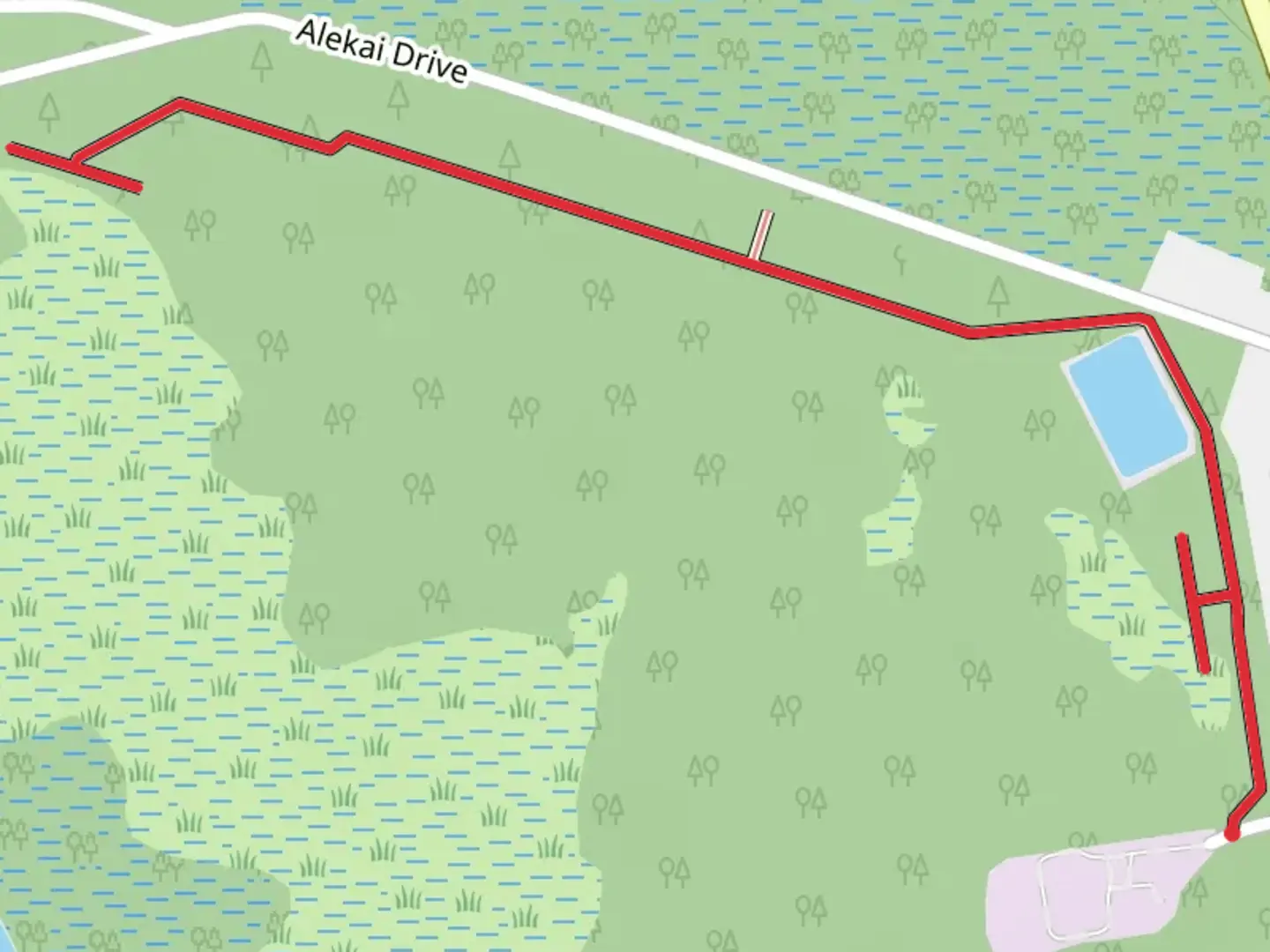 An image depicting the trail Bayou Marcus Birding Trail and its surrounding area.