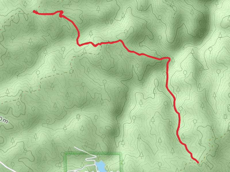 Hyster Trail
