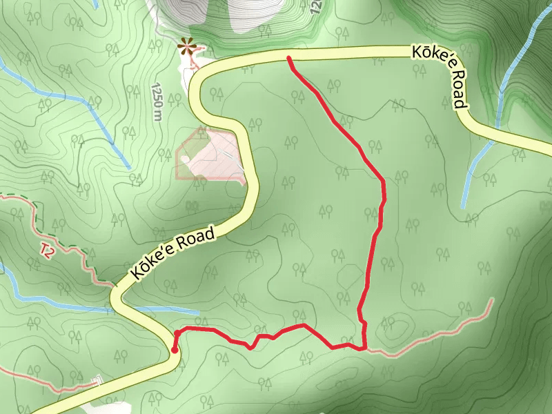 Kaluapuhi Trail