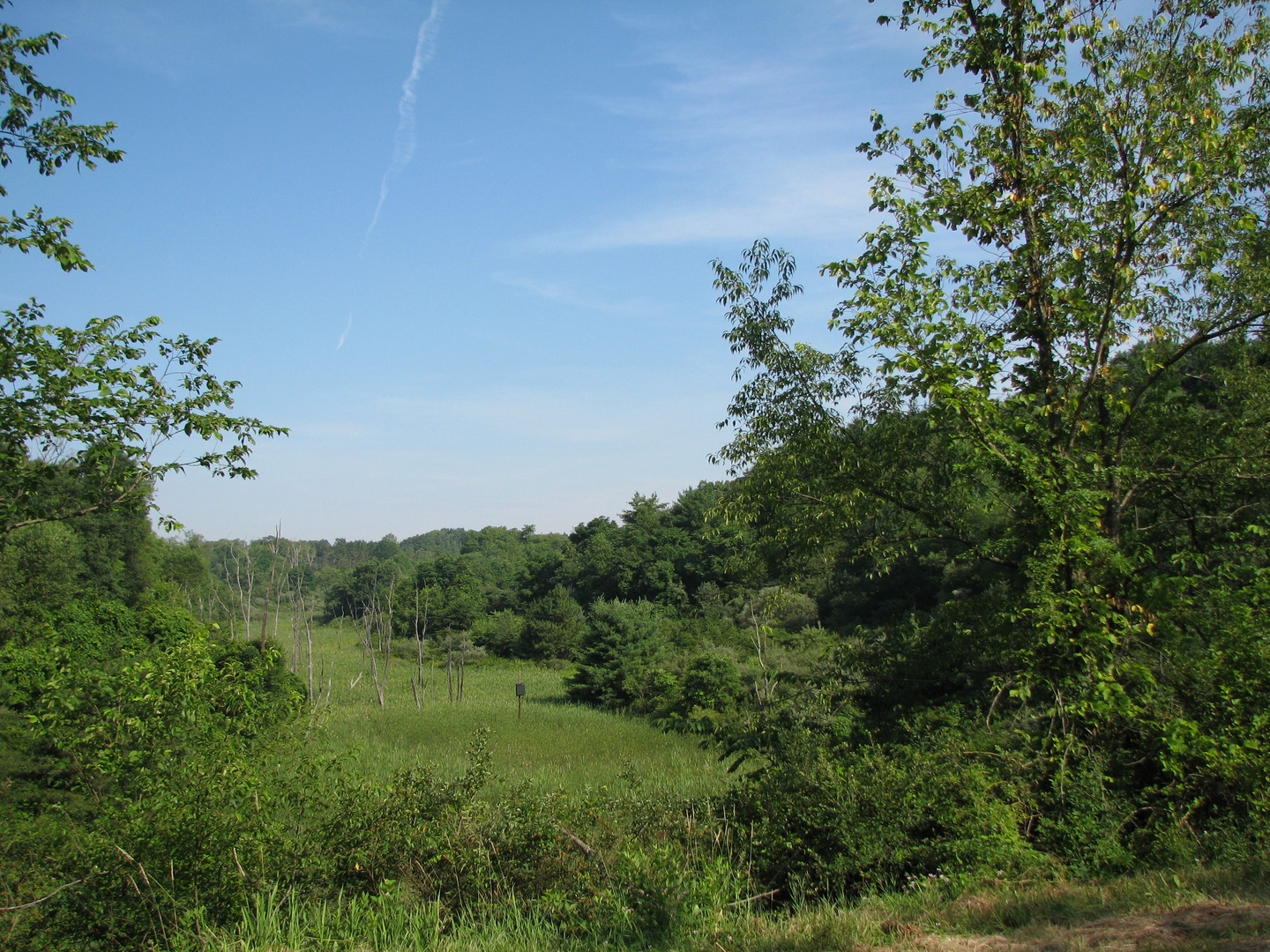 An image depicting the trail Abby's Trail - 330 and its surrounding area.