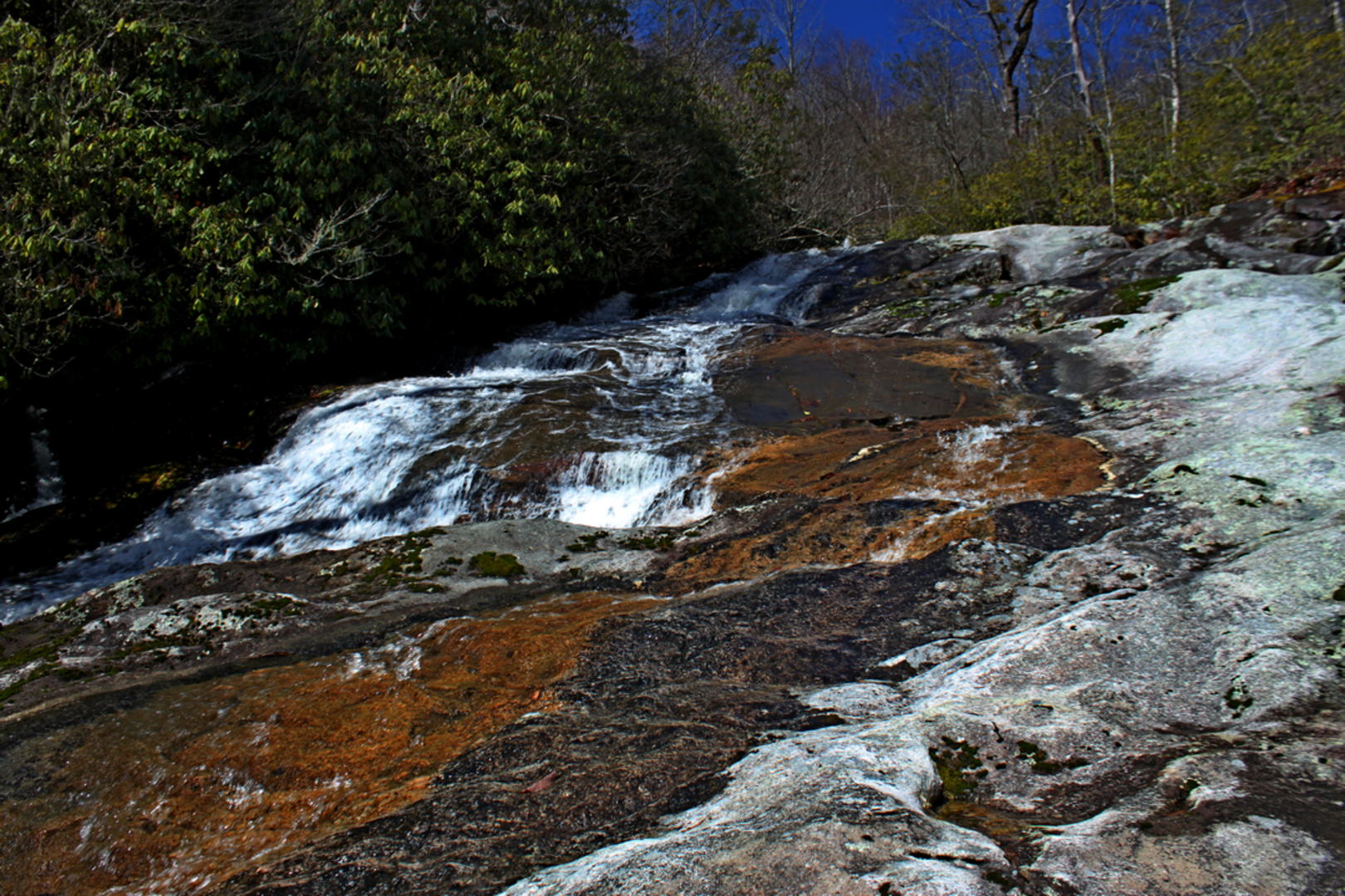 An image depicting the trail Harper Creek Falls and its surrounding area.