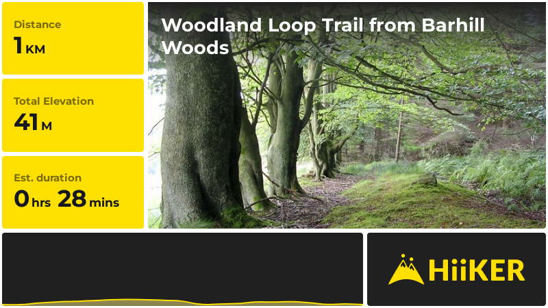 Woodland Loop Trail from Barhill Woods | Dumfries and Galloway | Scotl